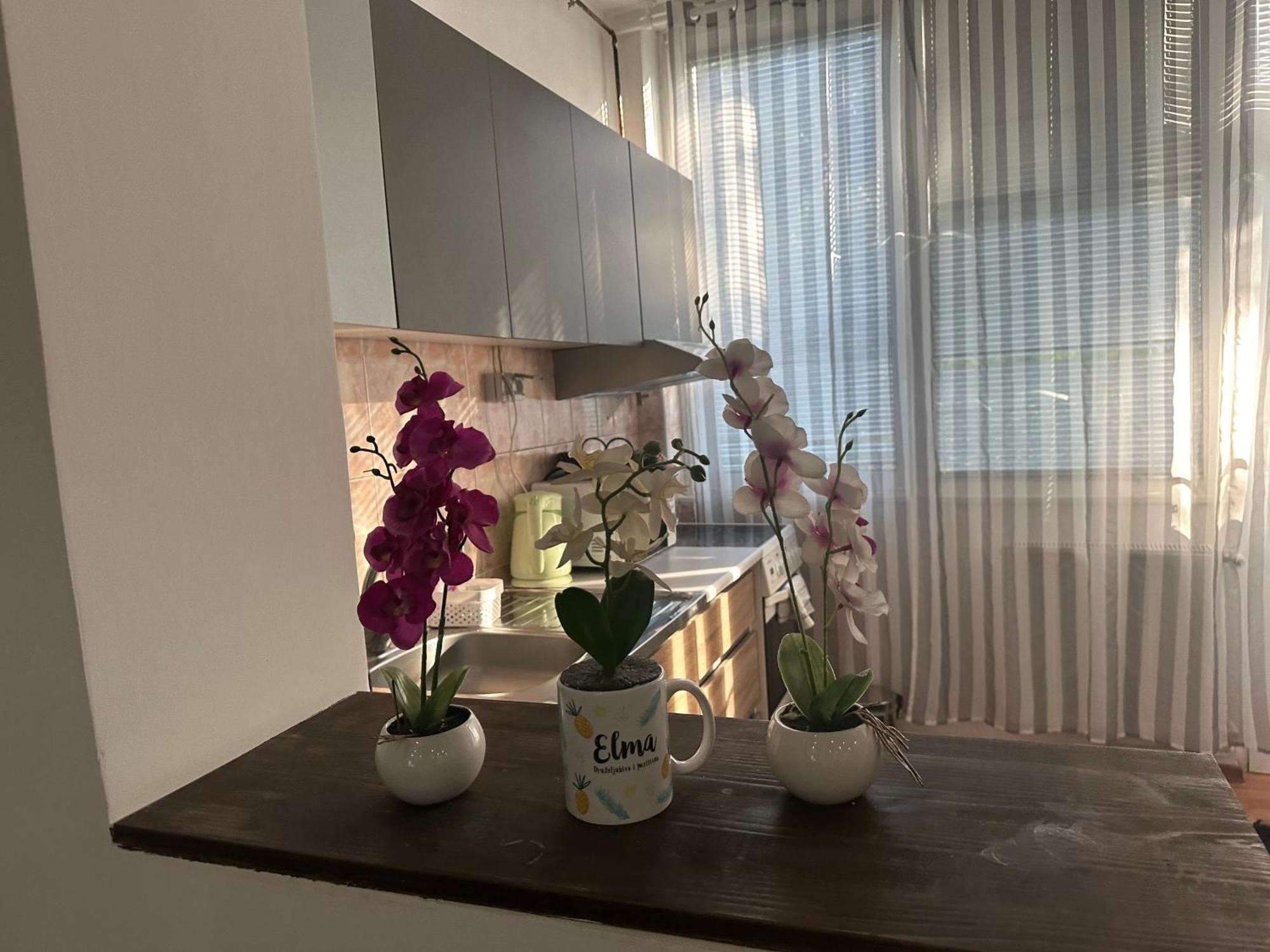 Elma Apartments Sarajevo Ngoại thất bức ảnh
